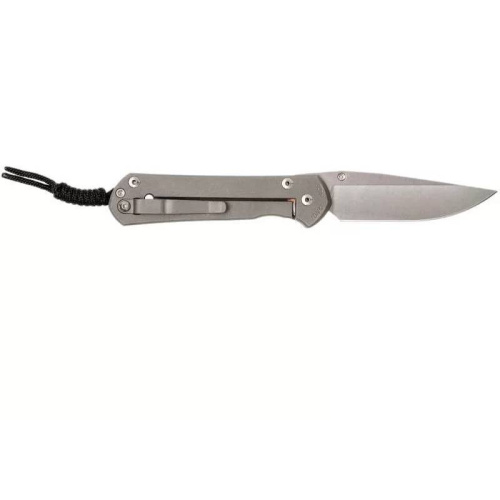 Складной нож Chris Reeve Large Sebenza 21 Think Twice фото 7 Складной нож Chris Reeve Large Sebenza 21 Think Twice фото 7