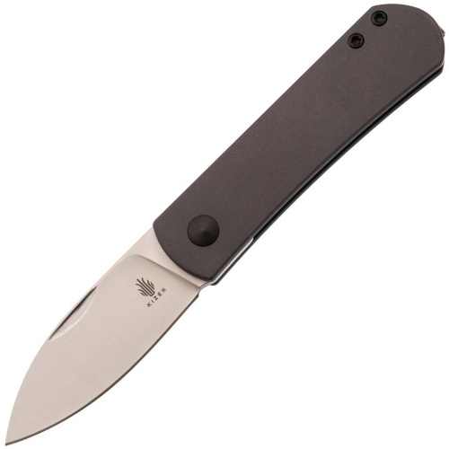  Kizer Yorkie