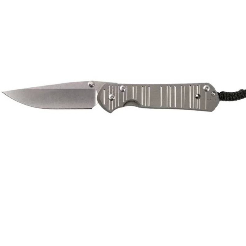 Складной нож Chris Reeve Large Sebenza 21 Think Twice фото 6 Складной нож Chris Reeve Large Sebenza 21 Think Twice фото 6
