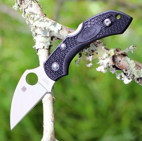 Складной нож Spyderco Dragonfly 2 Wharncliffe C28FPWCBK2 фото 2