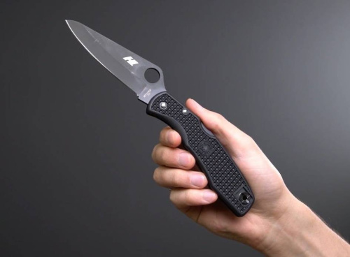 Складной нож Spyderco Salt 1 - C88PBBK фото 2 Складной нож Spyderco Salt 1 - C88PBBK фото 2