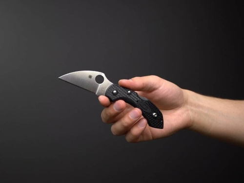 Складной нож Spyderco Dragonfly 2 Wharncliffe C28FPWCBK2 фото 7