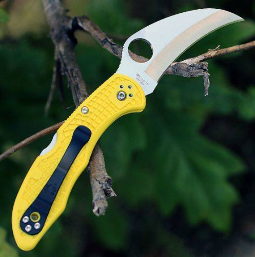 Складной нож Spyderco Tasman Salt 2 - 106PYL2 фото 3
