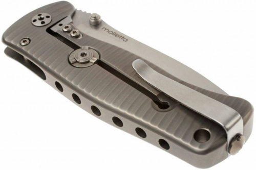 Складной нож Lion Steel SR2 G (GREY) Mini фото 3 Складной нож Lion Steel SR2 G (GREY) Mini фото 3