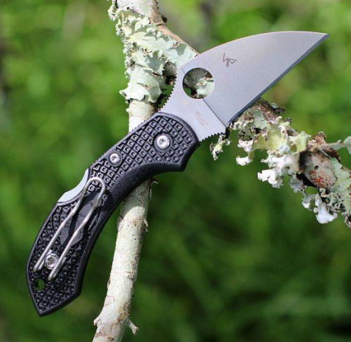Складной нож Spyderco Dragonfly 2 Wharncliffe C28FPWCBK2 фото 8